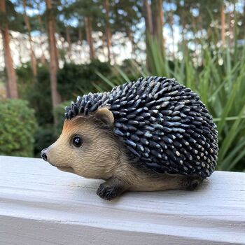 Mr Pricklepants Hedgehog Hoglet Garden Ornament, 5 of 6