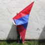 Giant Delta Kite, thumbnail 1 of 11