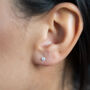 Gold Filled Diamond Stud Earrings, thumbnail 2 of 9
