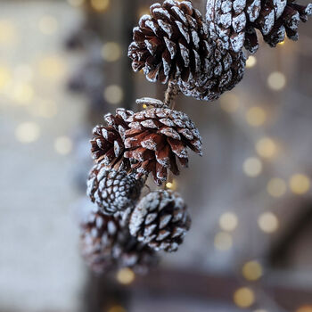 Natural Pine Cone Garland, 2 of 2