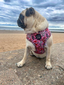 Berry Blossom Floral Dog Harness, 3 of 7