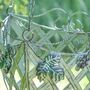 Set Of Two Provincial Garden Hanging Baskets, thumbnail 6 of 7
