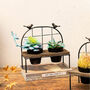 Standing Or Hanging Wall Small Planters Indoor Pot, thumbnail 4 of 4