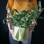 Origami Self Watering Eco Plant Pot: 18cm | Sage, thumbnail 5 of 6