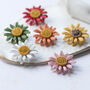 Colourful Daisy Brooch On A Bespoke Giftcard, thumbnail 1 of 12