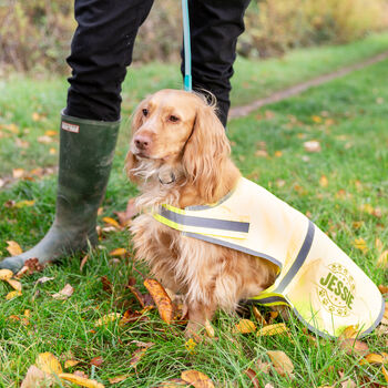 Personalised Reflective Dog Safety Coat / Vest / Jacket, 7 of 12