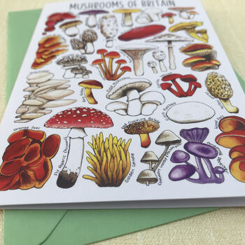 Mushrooms Of Britain Art Blank Greeting Card, 8 of 11