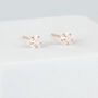 Rose Gold Colour Sterling Silver Crystal Star Stud Earrings, thumbnail 3 of 5