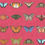Lepidoptera Happy Pink Wallpaper, thumbnail 3 of 3