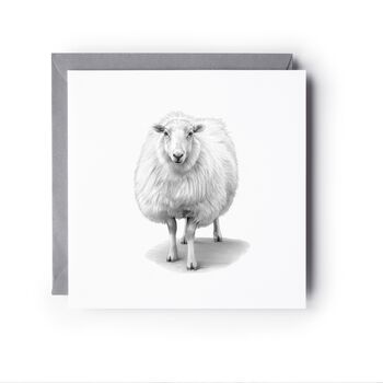 Tucana The Woolly Sheep Countryside Greeting Card, 3 of 6