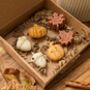 Autumnal Wax Melt Selection Box For Autumn Decor, thumbnail 1 of 10