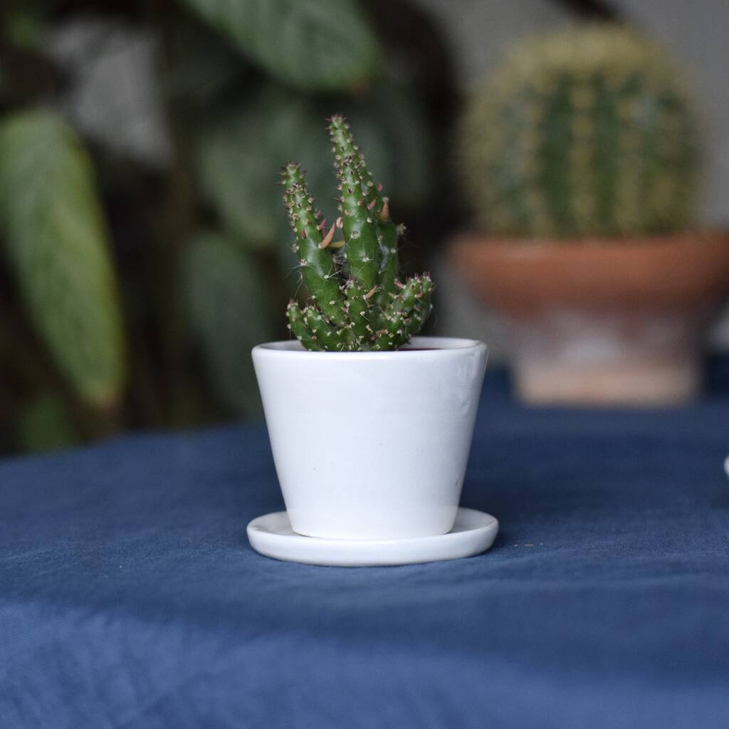 Ceramic Plant Pot With Plate By Kate Brigden Ceramics