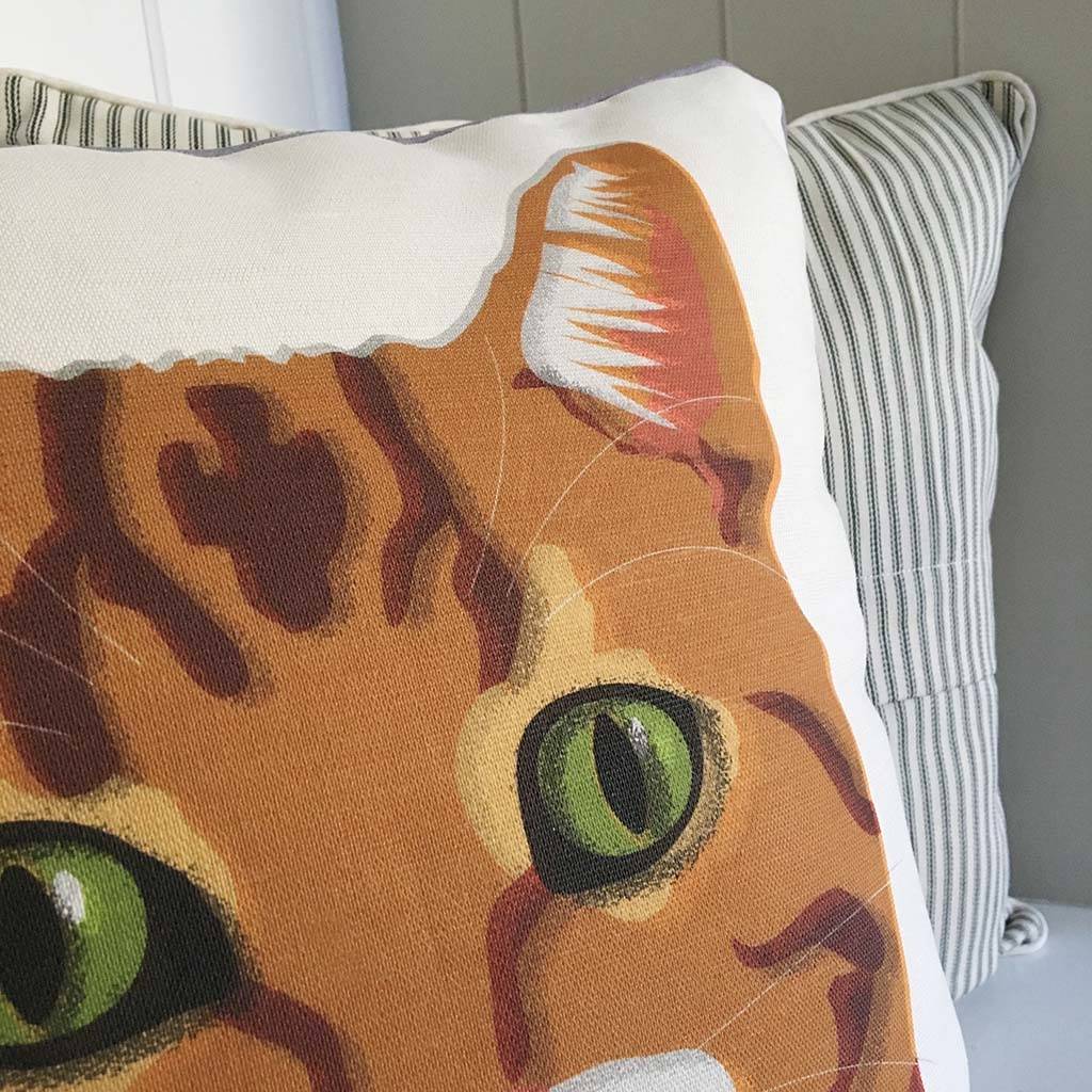 marmalade cat feature cushion by keylime design