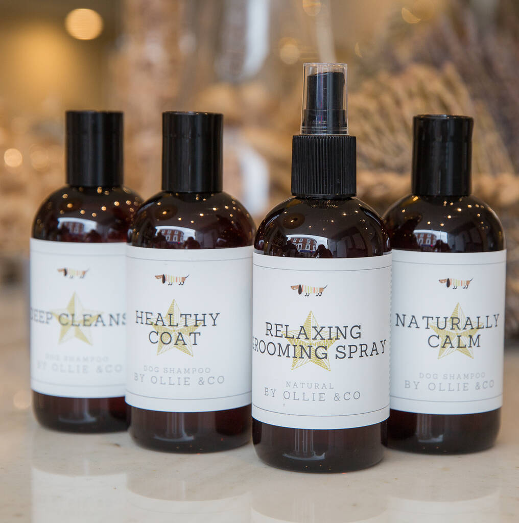 Tea Tree And Eucalyptus Deep Cleanse Dog Shampoo By Ollie & Co