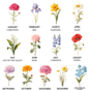 Personalised Hen Party Birth Flower Print, thumbnail 3 of 6