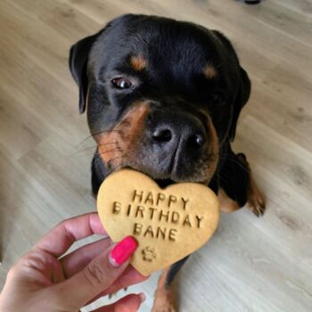 Personalised 'Happy Birthday' Dog Biscuits Gift Set, 3 of 7