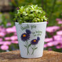 Personalised Teacher Daisy Flower Pot, thumbnail 3 of 5