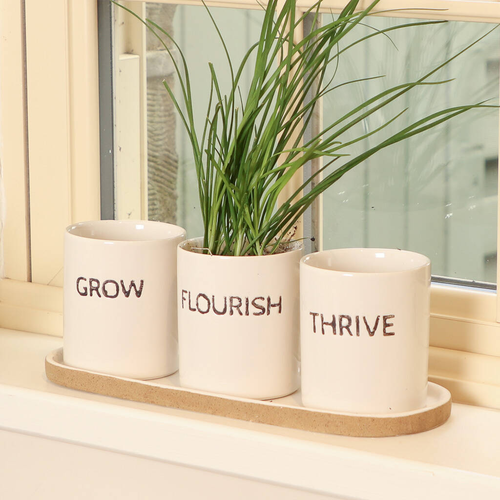grow, thrive, flourish ceramic herb pots and tray by dibor
