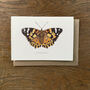 Butterfly Cards Mixed Pack Of Seven Designs, thumbnail 5 of 10