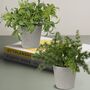 Pack Of Three Artificial Faux Plant In Pots, thumbnail 1 of 6