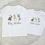 Big Sister Little Sister Bunny T Shirt Set, thumbnail 1 of 3