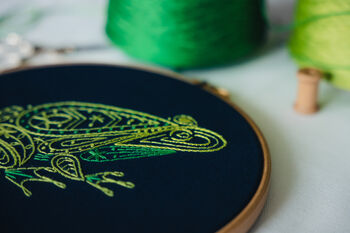 Frog Embroidery Kit, 3 of 10
