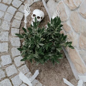 Skeleton Decoration Set, 5 of 5