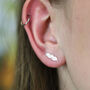 Feather Stud Earrings In Sterling Silver, thumbnail 1 of 12