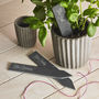 Personalised Engraved Slate Plant Marker, thumbnail 1 of 6