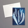 British Ferns Postcard Pack Of Five, thumbnail 5 of 7