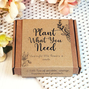 'Plant What You Need' Letterbox Gift, 5 of 8