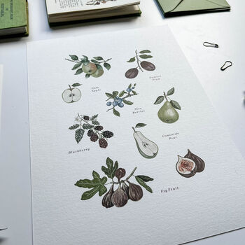 Fruit Botanical Art Print, 2 of 2