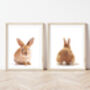 Set Of Two Bunny Rabbit Prints, thumbnail 1 of 2