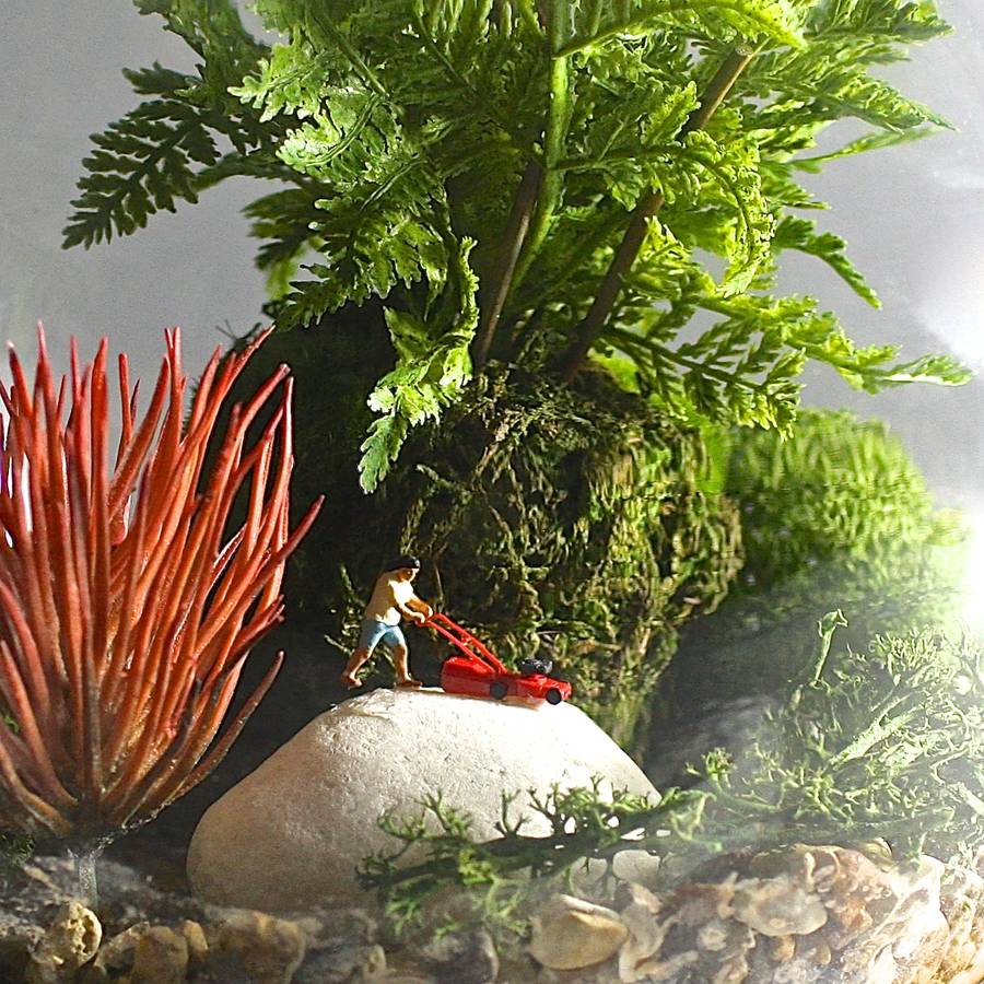 Faux Terrarium Kit Mowing The Lawn By London Garden