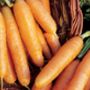 Grow Your Own Heritage Vegetables Seed Selection Pack, thumbnail 3 of 7