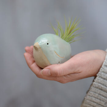 Bird Air Plant Holder In Mint Green, 3 of 11