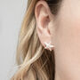 Sterling Silver Star Fish Studs, thumbnail 3 of 5