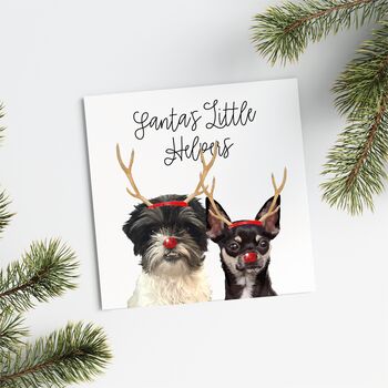 Two Or More Pet Personalised 'Reindeer Antler' Christmas Card, 3 of 8