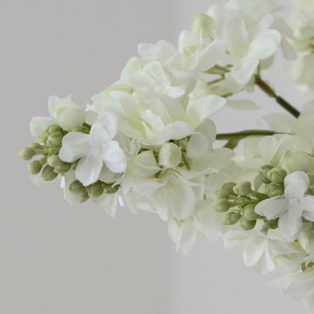 Artificial White Lilac Spray By Marquis & Dawe | notonthehighstreet.com