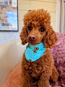 Bright Blue Cord Bumble Bee Polka Dots Dog Bandana, 2 of 4