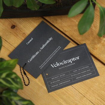 Velociraptor Tooth Bell Jar, 8 of 9