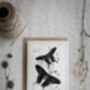 Colour Butterfly Greeting Cards – Set Of Four Vintage A6 Designs, thumbnail 5 of 11