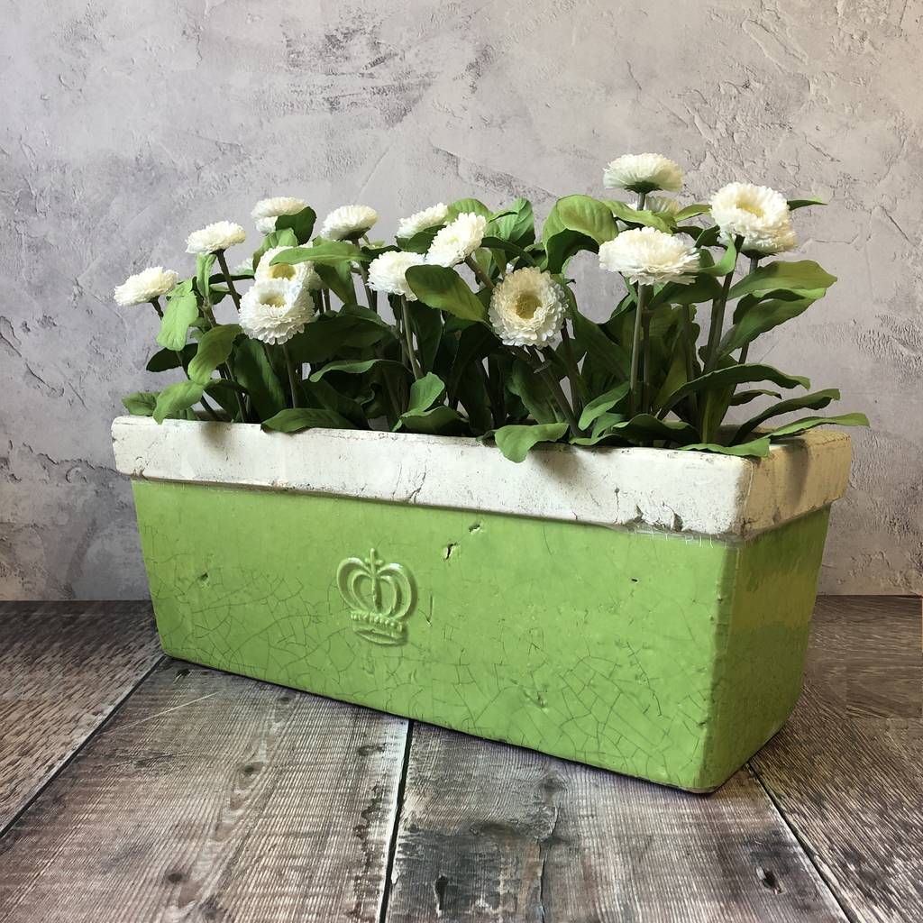 Zesty Green Aged Ceramic Planter By Garden Selections