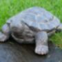 Realistic Tortoise Feature Indoor/Outdoor Use, thumbnail 1 of 4