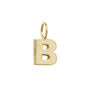 Yellow Gold Initial Pendant, thumbnail 2 of 12