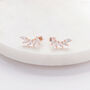 Rose Gold Colour Angel Wings Crystal Climber Earrings, thumbnail 3 of 3