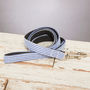 The Chichester Horizontal Blue Striped Dog Lead, thumbnail 2 of 3