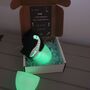 Dinosaur T Shirt In A Glow In The Dark Egg, thumbnail 2 of 4