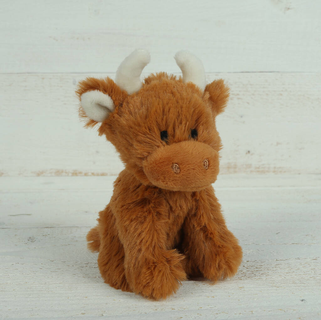 jomanda highland cow