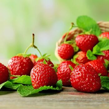 Strawberry Plants 'Sweetheart' Six X In 9cm Pots, 2 of 4